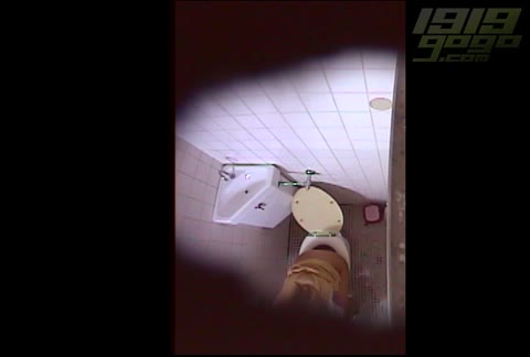         1919gogo 秘蔵蔵出し洋式便所盗撮 4
    