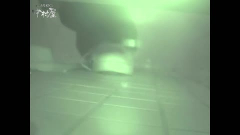         女子トイレ盗撮若い嬢編vol.14
    