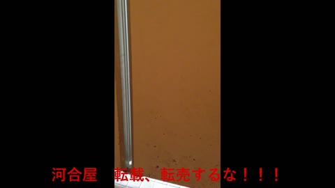         オリジナルトイレ19
    