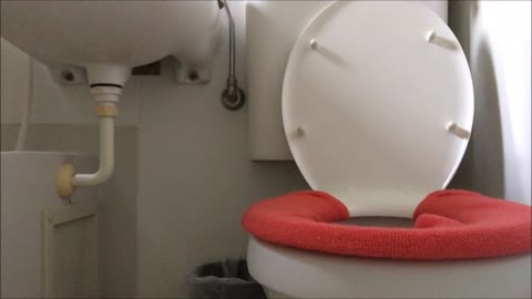         【12/18最新作】C妹のトイレを盗撮しました
    