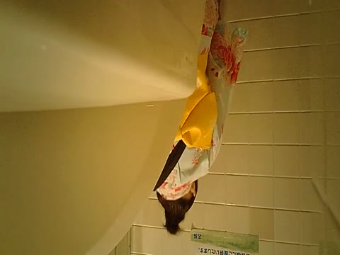         （炉）夏祭り潜入盗撮！
    