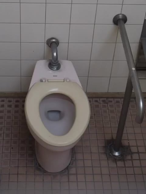         体操着トイレ盗撮
    