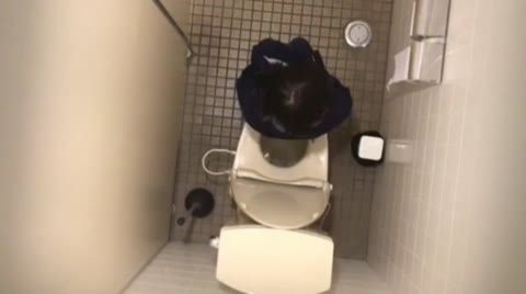         可愛い洋式 和式トイレ
    