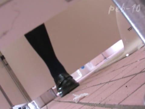         過激潜入撮　隣の個室にズームイン Vol.04
    