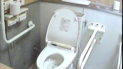         女子トイレ盗撮若い嬢編vol.03
    