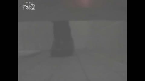         女子トイレ盗撮若い嬢編vol.15
    