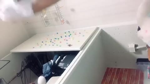         しょうがないなぁ　続編
    