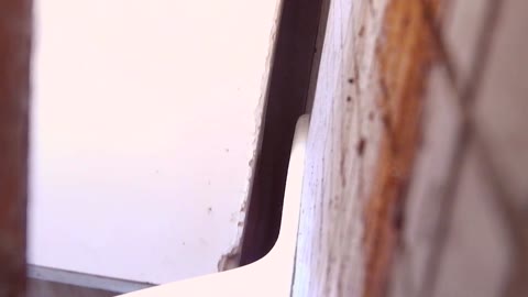         個別指導学習塾和式便所 Vol.06 VIP動画
    