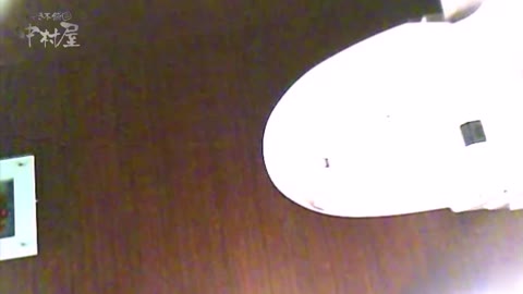         女子トイレ盗撮～某ファミレス編～vol.22
    