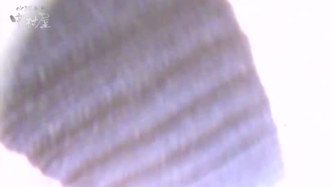         女子トイレ盗撮～某ファミレス編～vol.36
    