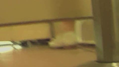         女子トイレ盗撮若い嬢編vol.06
    