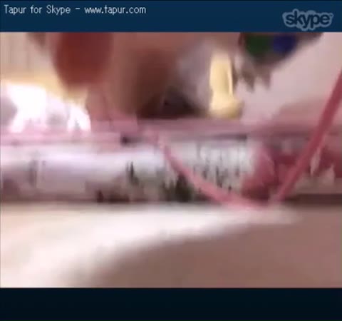         通話で指が汁まみれ
    