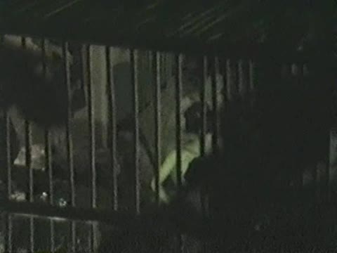         WAC 和歌山アクション倶楽部 露天風呂 Vol.3
    