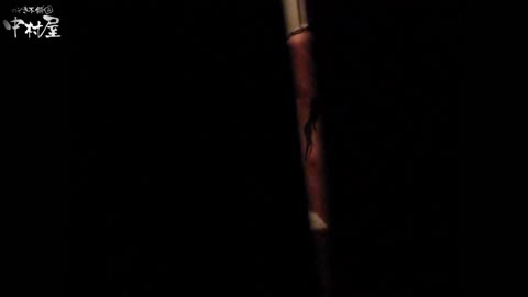         民家風呂専門盗撮師の超危険映像 vol.004
    