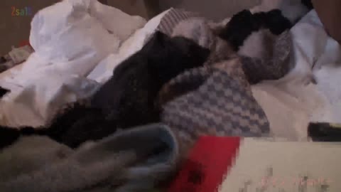         地主のむすめ　素人めいちゃん27歳　頭弱め　キャラだけサkuラモモ
    