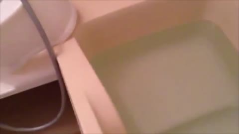         ゆーみん　風呂live
    