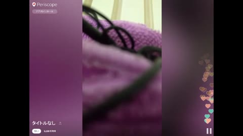         「これ以上はBANされるからだめです」
    