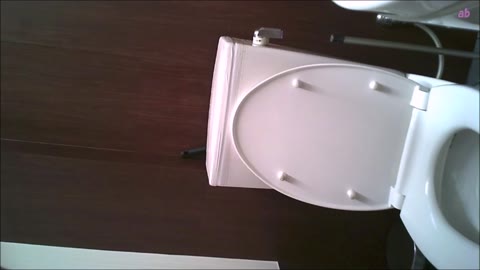         女子トイレ盗撮(294)美女揃いました！便器内撮影静寂個室内放出音愉しみカメラ目線外撮に興奮の全９名
    