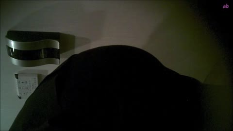         女子トイレ盗撮(281)唇が開いている便器内ハツラツ美女は楽しそうにスキップ長髪就活生正対も全１１名
    