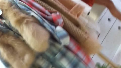         【胸チラ】美巨乳カワイイ店員の胸チラしっぱなし
    