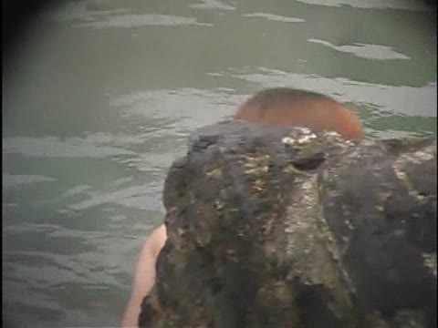         秘蔵版！女湯ベスト　vol.08
    