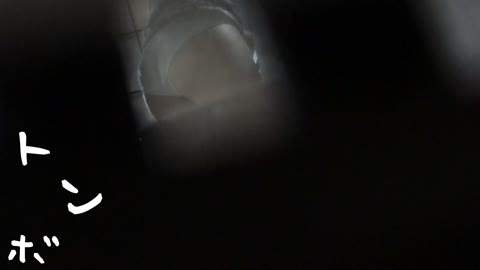         【リアル盗撮風】必見！絶世の美女！ 市◯紗椰 似女子大生の裸
    