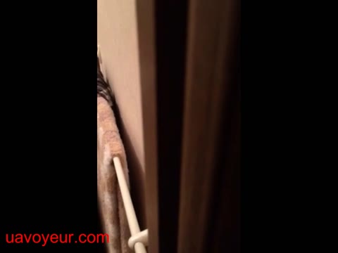         しぃけー姉妹　風呂live
    