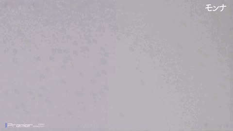         【美しい日本の未来 No.162】悶絶シリーズ９続編　神業でグループ全員狩り　超絶美マンで唖然
    