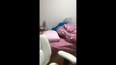         【お宝動画】超童顔自撮りオナニーライブ配信46分（おまけ付き）
    