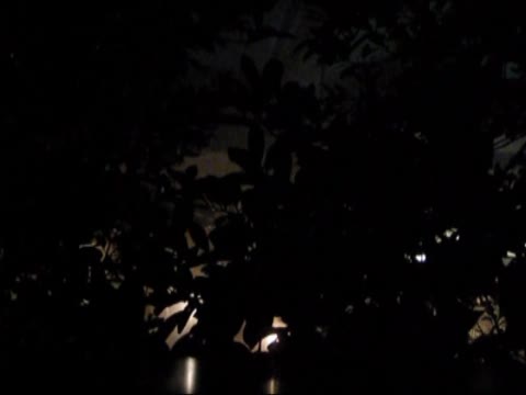         ムンクさんの突撃！美女ハンター Cace.13 VIP動画
    