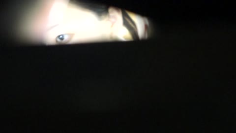         稀に見るロケットぱい。剛毛に包まれた割れ目がこちらに近づいてくる！
    