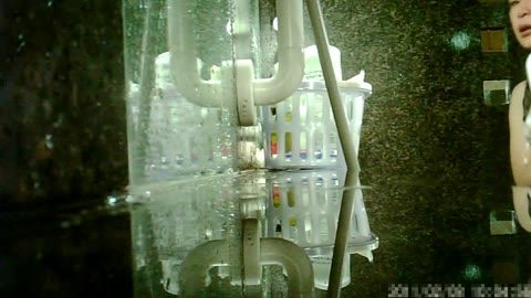         【マルッと追い撮り！女撮師 スーパー銭湯】Vol.6 洗い場！お母さん、まだまだイイ体だと思いますよ
    