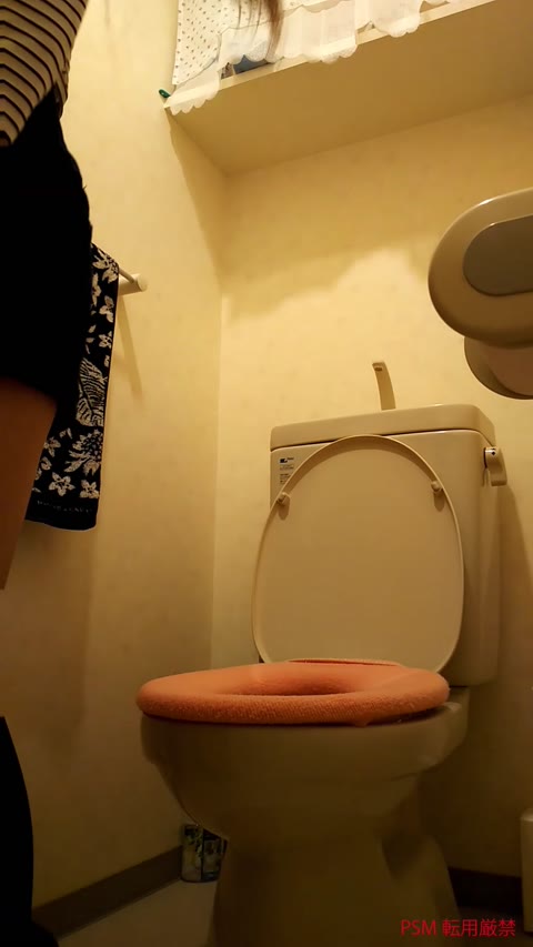         NOモザでマ〇コ見えちゃってる！！スレンダーモデルトイレ盗撮！！
    