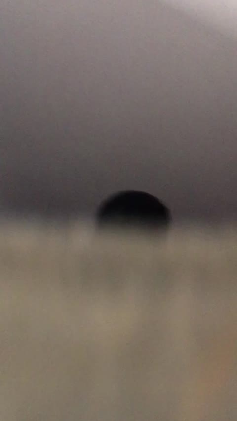         少女陸上競技会潜入盗撮！？
    