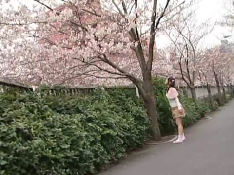         15daifuku_4499 杉山かんな 無毛少女生撮専科 05
    