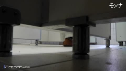         【美しい日本の未来　No.115】桐谷美●似のJ●登場　膜まで見えちゃう・・・
    