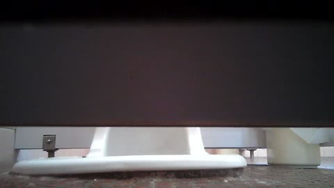         おりものうんち
    