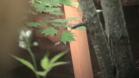         Aquaな露天風呂Vol.250
    