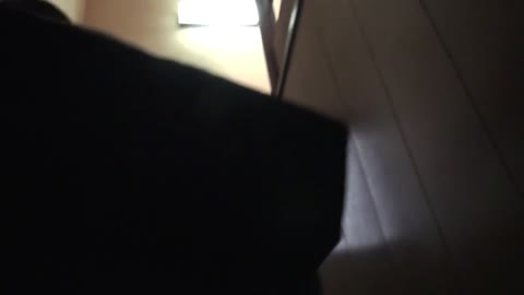         部活帰りにジャージのまま援しちゃう今時シーちゃんの生膣に中出し★☆etc5本プラス
    