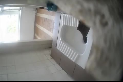         無修正　ロシアのデパートト○レ第1弾【20名以上】
    