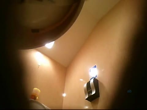         変態お兄さんの女子トイレ盗撮 Vol.009
    