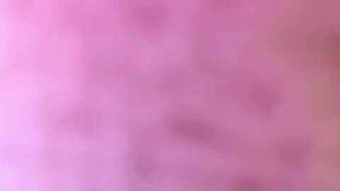         ｘｘはずいけど♪見せたがりエスちゃん☆こうがくねん女子お風呂配信！etc７作品
    