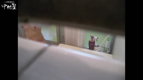         民家風呂専門盗撮師の超危険映像 vol.014
    