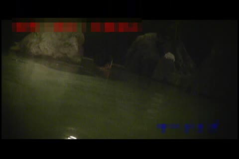         未熟な珊瑚礁　vol.27
    