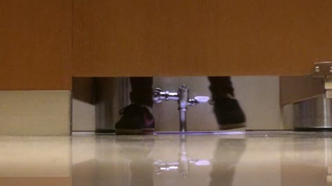         「噂」の国の厠観察日記２ Vol.01
    