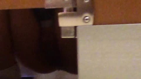         「噂」の国の厠観察日記２ Vol.05
    