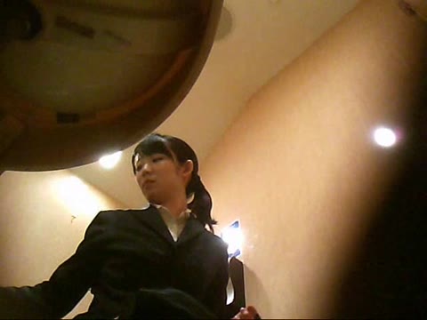         変態お兄さんの女子トイレ盗撮 Vol.002
    