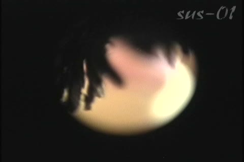         No.2 タレパイちゃんと美乳チャン。乳首の接写が中心。
    