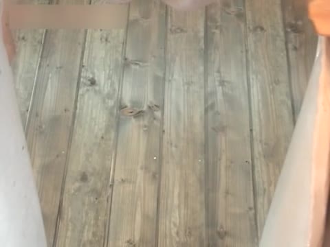         局部専門！3アングル 海水浴場トイレ盗撮 Vol.4
    