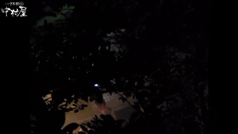         民家風呂専門盗撮師の超危険映像 vol.013
    